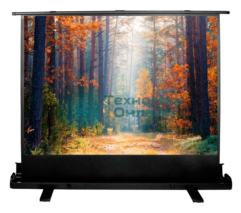 Экран Cactus 135x180 см FloorExpert CS-PSFLE-180X135 4:3 напольный рулонный