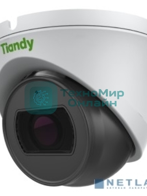 Камера видеонаблюдения IP Tiandy TC-C32XN Spec:I3/E/Y/M/2.8мм/V4.1 2.8-2.8мм (TC-C32XN SPEC:I3/E/Y/M/2.8мм)