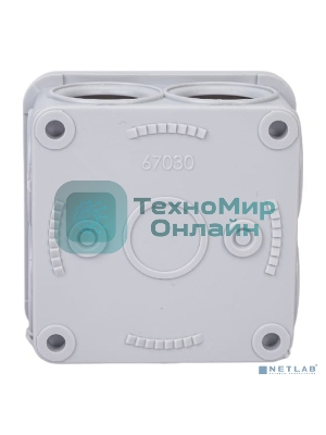 Рувинил 67030 Тусо. Коробка расп. для о/п, 70х70х40 мм, 7вводов, IP55 (св.-серая)