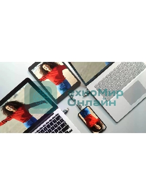 Флешка USB Sandisk 256Gb iXpand Flip SDIX90N-256G-GN6NE USB3.1 зеленый/серебристый