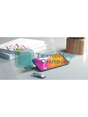 Флешка USB Sandisk 256Gb iXpand Flip SDIX90N-256G-GN6NE USB3.1 зеленый/серебристый