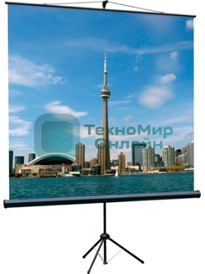 Экран на треноге Lumien 150x150 см Eco View LEV-100101 1:1 напольный рулонный
