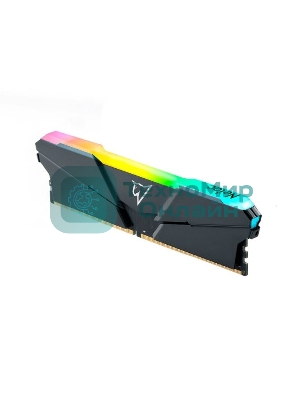 Оперативная память NETAC Shadow, DDR4, 16GB (1x16GB), 3200MHz, CL16, DIMM, с радиатором, RGB, серый