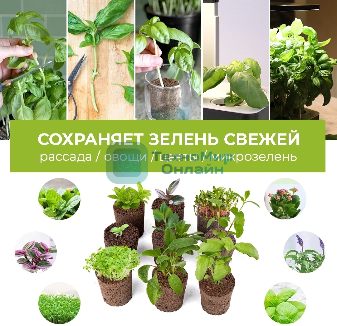 Набор питательных губок Cactus CS-SPONGE-10 для проращивания для CS-LEDPOT-06/08/10 (упак.:10шт) пакет