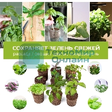 Набор питательных губок Cactus CS-SPONGE-10 для проращивания для CS-LEDPOT-06/08/10 (упак.:10шт) пакет