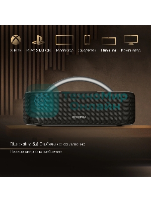 Колонка портативная Hyundai H-PS1028 черный 60W 2.0 BT 10м 4400mAh