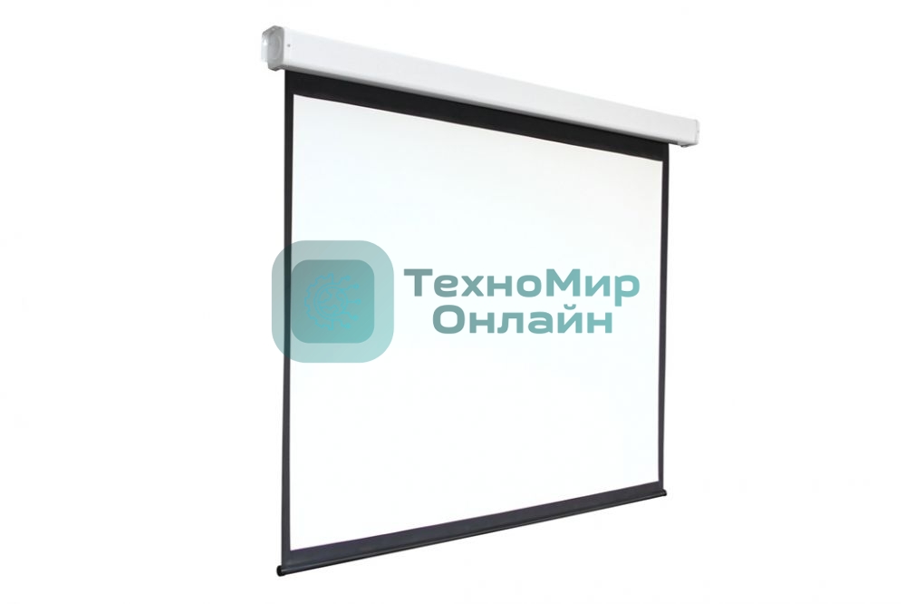 Экран 168x300см Digis Electra-F DSEF-16906 16:9 настенно-потолочный рулонный (моторизованный привод)