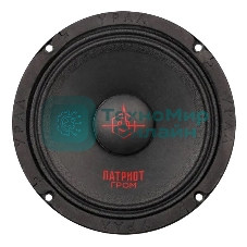 Колонки автомобильные Ural АС-ПТ165 ГРОМ (без решетки) 300Вт 99.5дБ 4Ом 16.5см (6 1/2дюйм) (ком.:1кол.) широкополосные однополосные