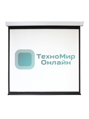 Экран 168x300см Digis Electra-F DSEF-16906 16:9 настенно-потолочный рулонный (моторизованный привод)