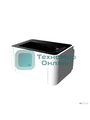 Принтер лазерный Deli P1820W