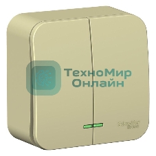 Выключатель 2-кл. ОП Blanca (сх.5) 10А 250 В изол. пласт. с подсветкой беж. SchE BLNVA105117