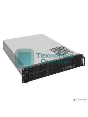 Серверная платформа ExeGate EX293873RUS Pro 2U550-06/2U2088 (RM 19