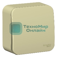 Переключатель 1-клавишный (cх.6) изолир. пластина 10А, 250B SE Blanca наруж Беж