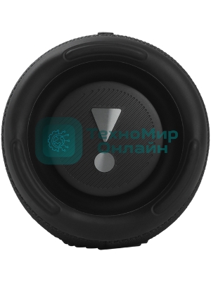 Портативная акустическая система JBL Charge 5 (Black)