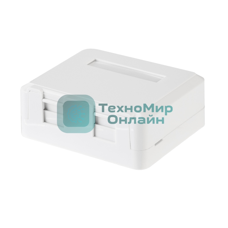 Корпус настенной розетки Rexant под 2 модуля Keystone Jack белый