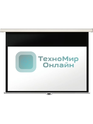 Настенный экран Lumien Master Picture CSR 247x239см (раб.область 234х234 см) (96