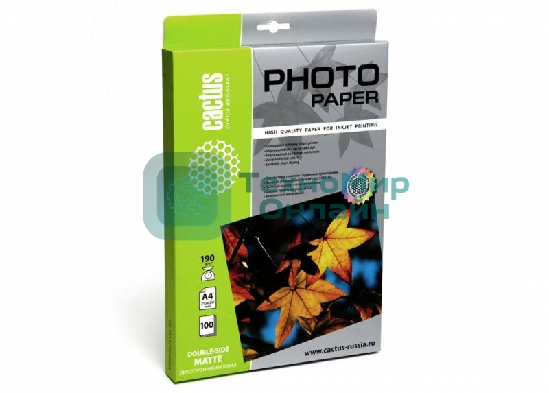 Фотобумага Cactus CS-MA4190100DS матовая двусторонняя A4 190 г/м2 100 листов