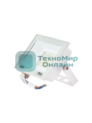 Прожектор Rexant СДО 30 Вт 2400 Лм 5000 K белый корпус