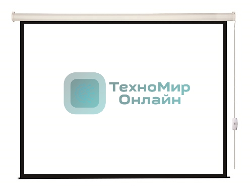 Экран с электроприводом Lumien Eco Control 128x171 см (раб. область 122х165 см) Matte White черная кайма по периметру 4:3