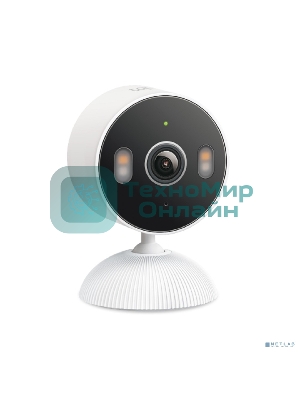 Внутренняя/наружная умная Wi-Fi камера TP-Link Tapo C113