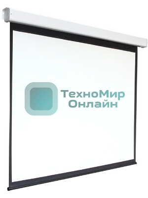 Экран 159x159см Digis Electra-F DSEF-1103 1:1 настенно-потолочный рулонный (моторизованный привод)