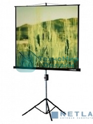 Экран на треноге Lumien 153x153см Master View LMV-100102 1:1 напольный рулонный