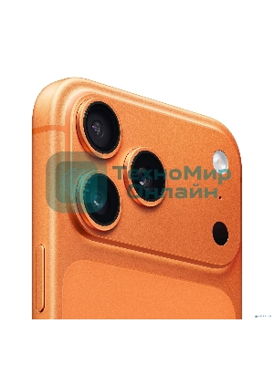 Смартфон Apple iPhone 17 Pro Max 12/256Gb оранжевый