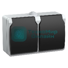 Розетка двухместная РСб22-3-ФСр с з/к для открытой установки IP54 Форс ERS22-K03-16-54-DC IEK