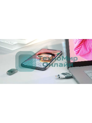 Флешка USB Sandisk 128Gb iXpand Flip SDIX90N-128G-GN6NE USB3.1 зеленый/серебристый