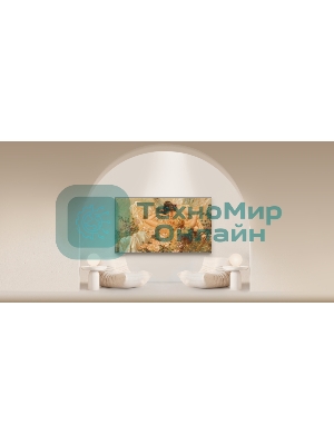 Телевизор Skyworth 65