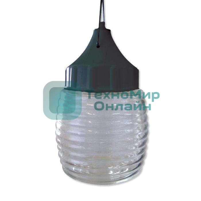 Светильник ЭЛЕТЕХ НСП 03-60-001 