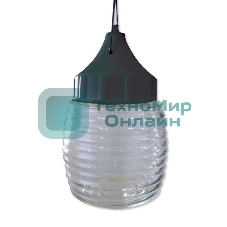 Светильник ЭЛЕТЕХ НСП 03-60-001 