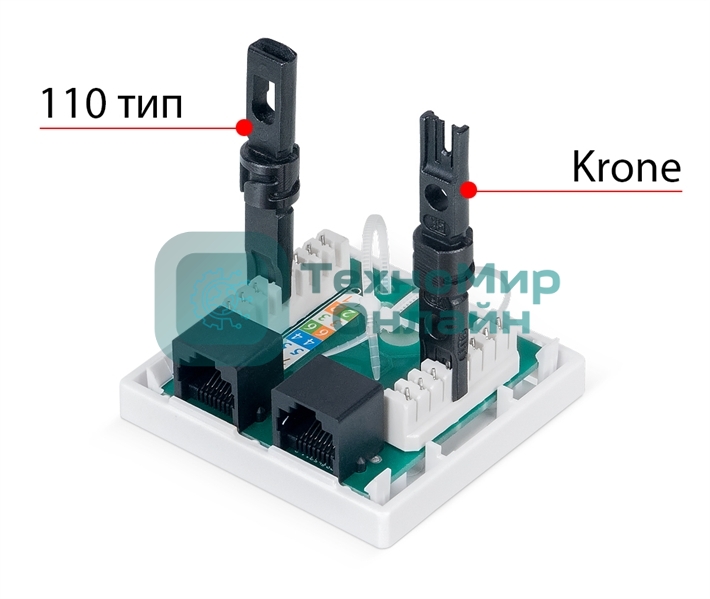 Розетка в сборе Cabeus, 2x RJ45(8P8C), кат. 6, неэкр., внешняя, белый, (WS-8P8C-Cat.6-2)