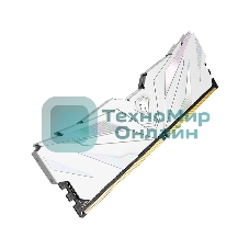 Оперативная память NETAC, DDR4, 8GB (1x8GB), 2666MHz, CL19, DIMM, с радиатором, белый