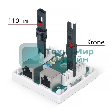 Розетка в сборе Cabeus, 2x RJ45(8P8C), кат. 5е, экр., внешняя, белый, (WS-8P8C-Cat.5e-SH-2)