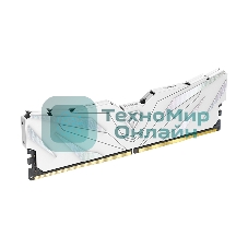 Оперативная память NETAC, DDR4, 8GB (1x8GB), 2666MHz, CL19, DIMM, с радиатором, белый