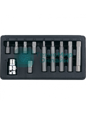 Набор бит Stels SPLINE, шестигранный хвостовик 1 1/2'', CrV, 10 мм, 11 пред.