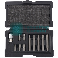 Набор бит Stels SPLINE, шестигранный хвостовик 1 1/2'', CrV, 10 мм, 11 пред.