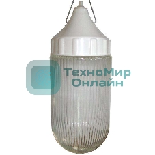 Светильник ЭЛЕТЕХ НСП 03-60-002 