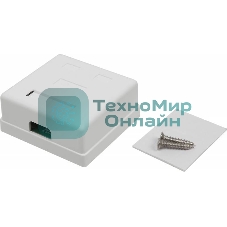 Розетка TWT (TWT-SM2-4545-WH) настенная 2 порта RJ-45 категории 5е. UTP. белая